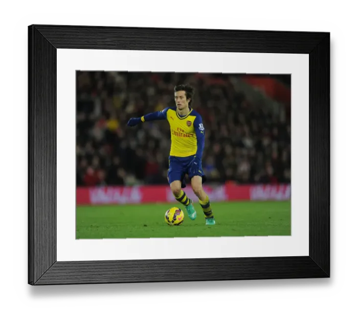 Framed Print : Arsenal's Tomas Rosicky in Action: Southampton vs Arsenal (Premier League 2014-15)