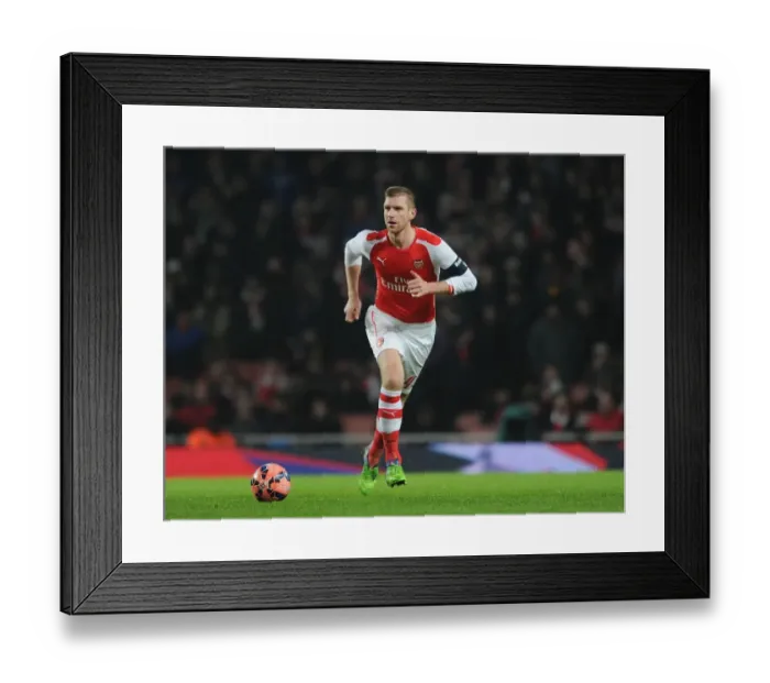 Framed Print : Per Mertesacker Focuses in FA Cup Clash: Arsenal vs. Hull City (2014-15) Framed Print : Per Mertesacker Focuses in FA Cup Clash: Arsenal vs. Hull City (2014-15)