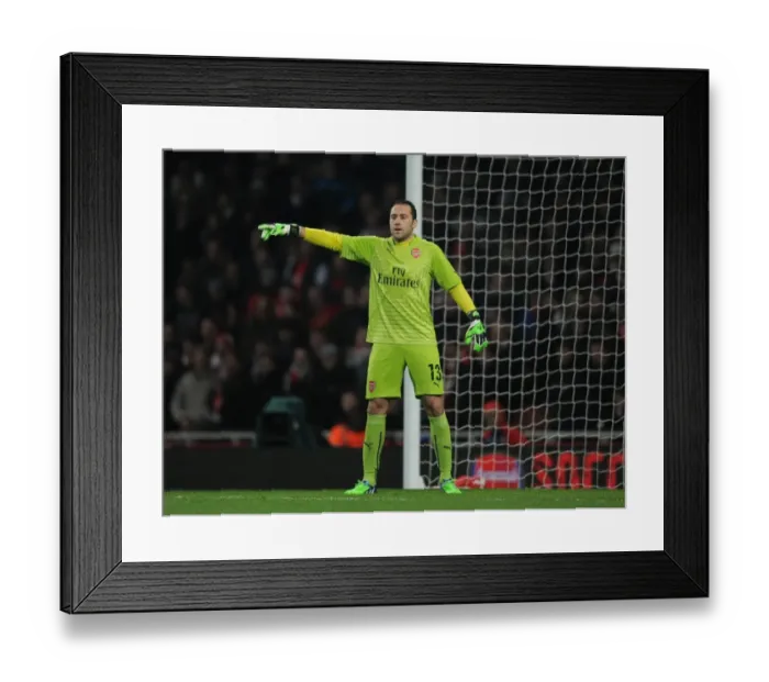Framed Print : Arsenal's David Ospina in FA Cup Action Against Hull City (2014-15)