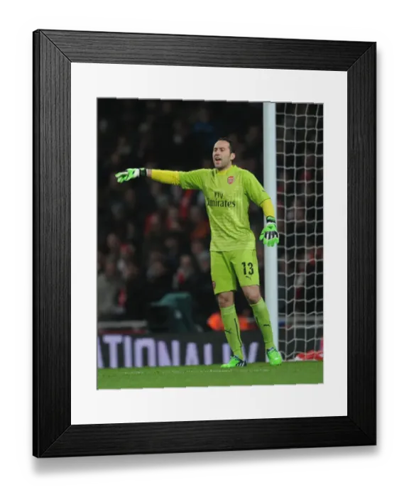 Framed Print : Arsenal's David Ospina Focused During FA Cup Match Against Hull City Framed Print : Arsenal's David Ospina Focused During FA Cup Match Against Hull City