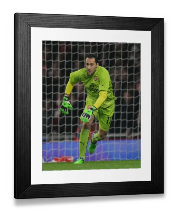 Framed Print : Arsenal's David Ospina in FA Cup Action: Arsenal vs Hull City (2014-15) Framed Print : Arsenal's David Ospina in FA Cup Action: Arsenal vs Hull City (2014-15)