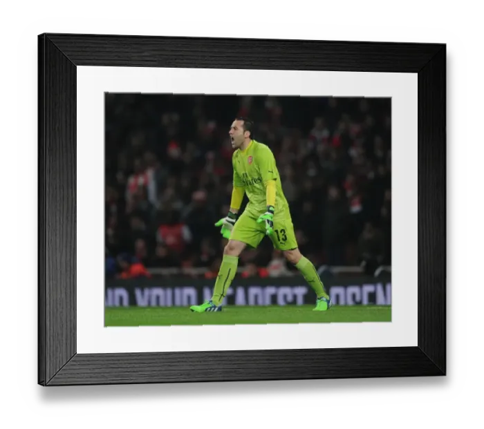 Framed Print : David Ospina: Arsenal's FA Cup Goalkeeper vs Hull City (2014-15)