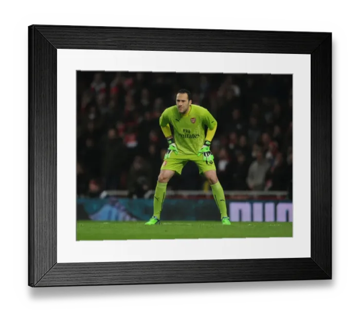 Framed Print : Arsenal's David Ospina in FA Cup Action: Arsenal vs Hull City (2014-15) Framed Print : Arsenal's David Ospina in FA Cup Action: Arsenal vs Hull City (2014-15)