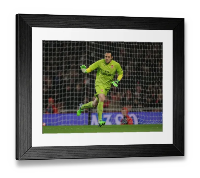 Framed Print : Arsenal's David Ospina in FA Cup Action: Arsenal vs. Hull City (2014-15)