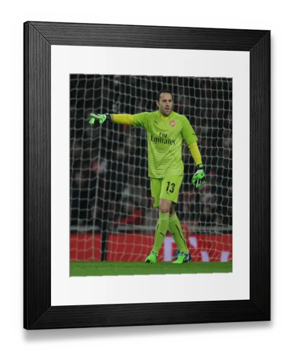 Framed Print : Arsenal's David Ospina in FA Cup Action: Arsenal vs Hull City (2014-15) Framed Print : Arsenal's David Ospina in FA Cup Action: Arsenal vs Hull City (2014-15)