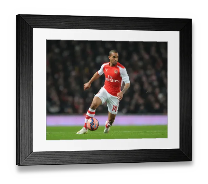 Framed Print : Theo Walcott in Action: Arsenal vs Hull City - FA Cup 2014-15 Framed Print : Theo Walcott in Action: Arsenal vs Hull City - FA Cup 2014-15