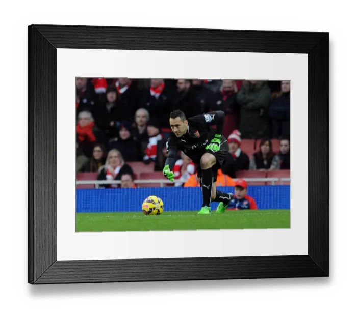Framed Print : Arsenal's David Ospina in Action Against Stoke City (2015)