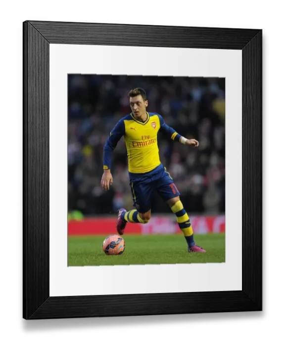 Framed Print : Mesut Ozil in Action: Arsenal vs. Brighton & Hove Albion, FA Cup 2014-15 Framed Print : Mesut Ozil in Action: Arsenal vs. Brighton & Hove Albion, FA Cup 2014-15