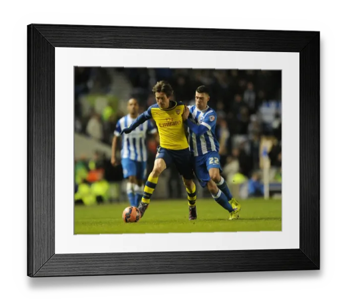 Framed Print : Tomas Rosicky vs. Danny Holla: Battle in the FA Cup: Brighton & Hove Albion vs. Arsenal Framed Print : Tomas Rosicky vs. Danny Holla: Battle in the FA Cup: Brighton & Hove Albion vs. Arsenal