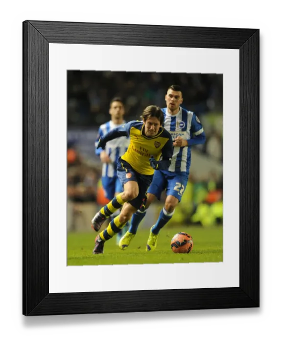 Framed Print : Brighton vs Arsenal: Rosicky Clashes with Holla in FA Cup Showdown Framed Print : Brighton vs Arsenal: Rosicky Clashes with Holla in FA Cup Showdown