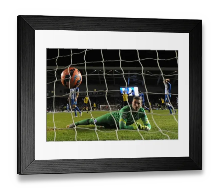 Framed Print : Tomas Rosicky celebrates scoring Arsenals 3rd goal as David Stockdale (Brighton) Framed Print : Tomas Rosicky celebrates scoring Arsenals 3rd goal as David Stockdale (Brighton)