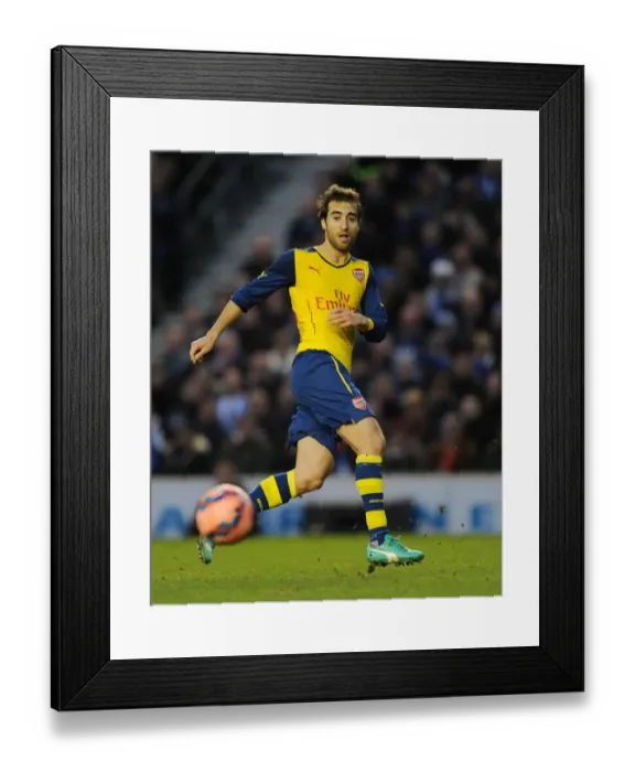 Framed Print : Mathieu Flamini in Action: Arsenal vs. Brighton & Hove Albion, FA Cup 2015