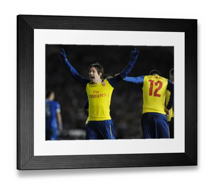 Framed Print : Arsenal's Rosicky Scores Hat-Trick: FA Cup Victory over Brighton Framed Print : Arsenal's Rosicky Scores Hat-Trick: FA Cup Victory over Brighton