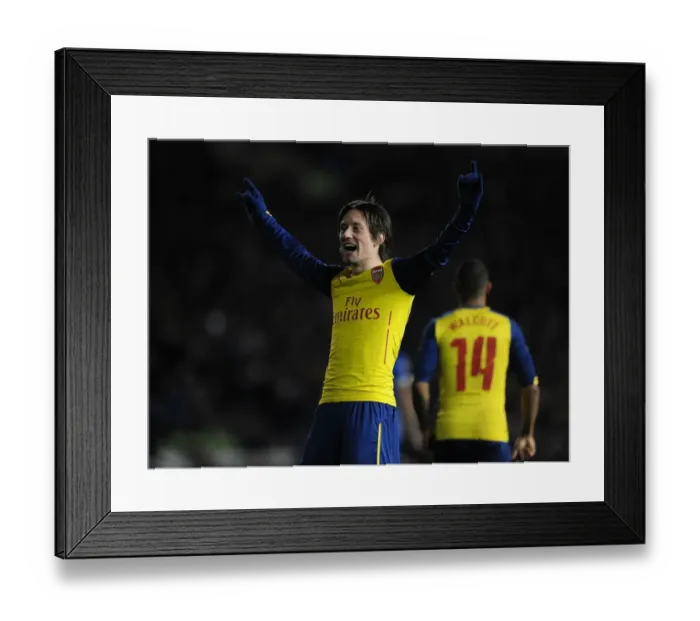 Framed Print : Arsenal's Rosicky Scores Thrilling FA Cup Goal Against Brighton & Hove Albion