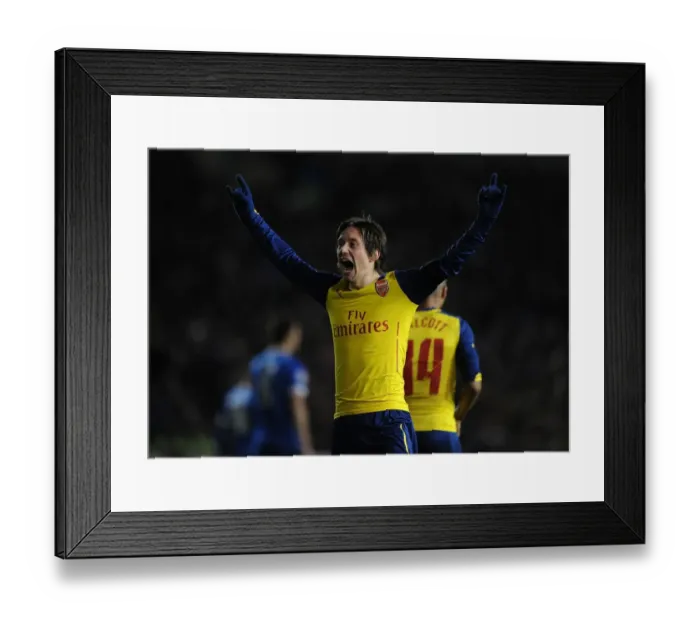 Framed Print : Arsenal's Rosicky Scores Hat-Trick: FA Cup Victory over Brighton Framed Print : Arsenal's Rosicky Scores Hat-Trick: FA Cup Victory over Brighton