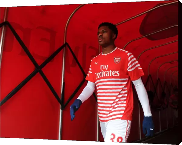 Chuba Akpom: Arsenal's Ready-to-Rise Star Against Aston Villa, 2015