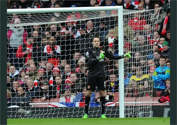 Arsenal's David Ospina in Action Against Aston Villa, Premier League 2014-15