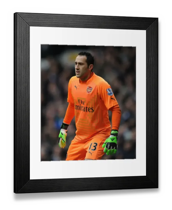Framed Print : Arsenal's David Ospina Goes Head-to-Head with Tottenham Hotspur in Intense Premier League Showdown (2014-15)