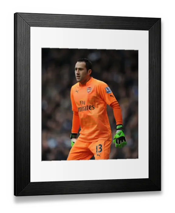 Framed Print : David Ospina vs. Tottenham Hotspur: Intense Arsenal-Tottenham Premier League Showdown, London 2015 Framed Print : David Ospina vs. Tottenham Hotspur: Intense Arsenal-Tottenham Premier League Showdown, London 2015