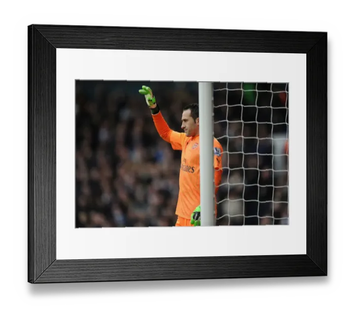 Framed Print : Intense Rivalry: David Ospina vs. Tottenham Hotspur in the Premier League Clash (2014-15) Framed Print : Intense Rivalry: David Ospina vs. Tottenham Hotspur in the Premier League Clash (2014-15)