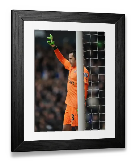 Framed Print : David Ospina vs. Tottenham Hotspur: Intense 2014-15 Premier League Showdown