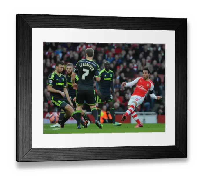 Framed Print : Santi Cazorla (Arsenal) Ben Gibson (Middlesbrough). Arsenal 2: 0 Middlesbrough. FA Cup 5th Round Framed Print : Santi Cazorla (Arsenal) Ben Gibson (Middlesbrough). Arsenal 2: 0 Middlesbrough. FA Cup 5th Round