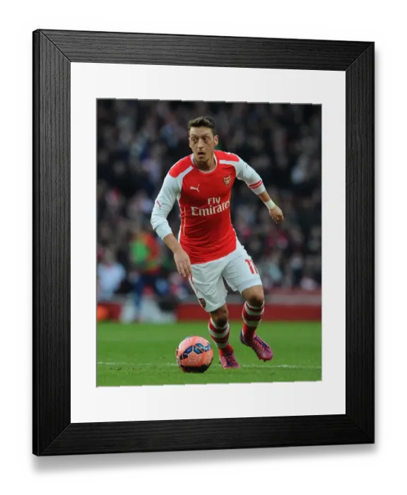 Framed Print : Mesut Ozil: In Action for Arsenal Against Middlesbrough, FA Cup 2014-15