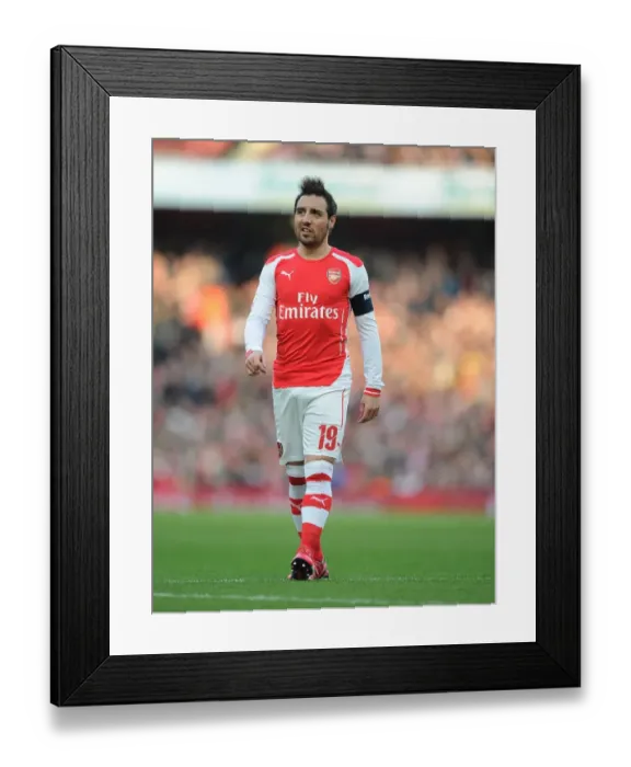 Framed Print : Arsenal's Santi Cazorla Leads the Charge Against Middlesbrough in FA Cup Showdown Framed Print : Arsenal's Santi Cazorla Leads the Charge Against Middlesbrough in FA Cup Showdown