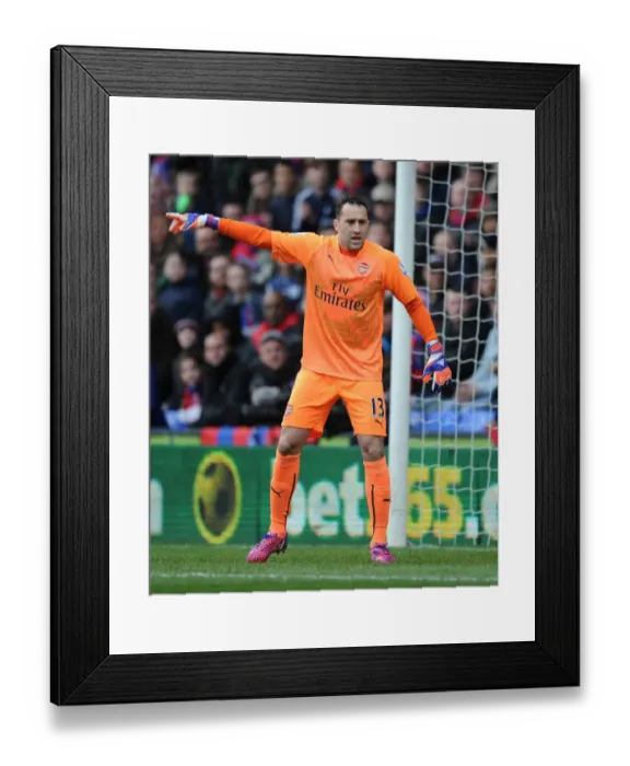 Framed Print : Arsenal's David Ospina in Action at Crystal Palace, Premier League 2014-15 Framed Print : Arsenal's David Ospina in Action at Crystal Palace, Premier League 2014-15