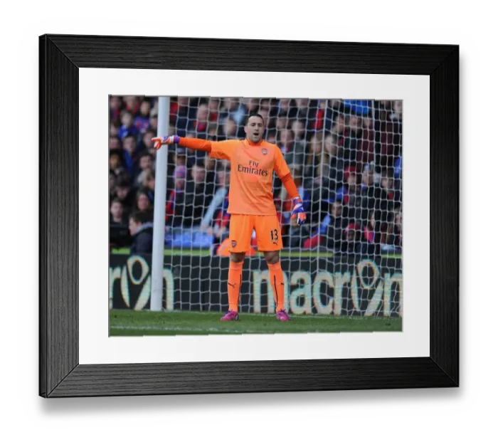 Framed Print : Arsenal's David Ospina in Action Against Crystal Palace (2014-15) Framed Print : Arsenal's David Ospina in Action Against Crystal Palace (2014-15)