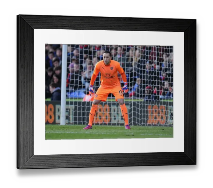 Framed Print : Arsenal's David Ospina in Action Against Crystal Palace (2014-15)