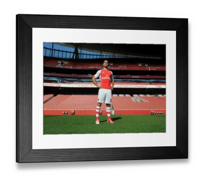 Framed Print : Mikel Arteta (Arsenal). Arsenal 1st Team Photocall. Emirates Stadium, 7  /  8  /  14. Credit