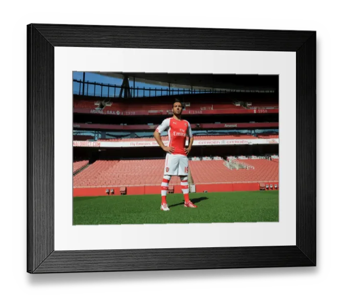 Framed Print : Santi Cazorla (Arsenal). Arsenal 1st Team Photocall. Emirates Stadium, 7 / 8 / 14. Credit Framed Print : Santi Cazorla (Arsenal). Arsenal 1st Team Photocall. Emirates Stadium, 7 / 8 / 14. Credit