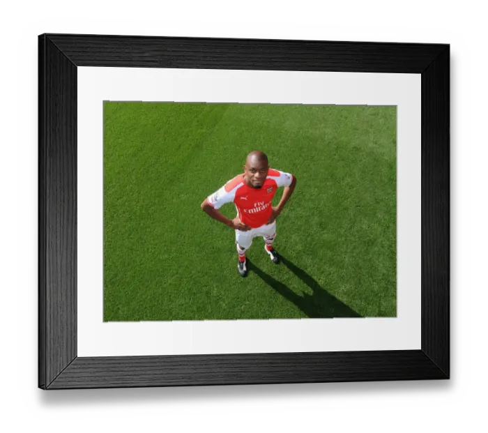 Framed Print : Arsenal First Team: Abou Diaby at Emirates Stadium (2014) Framed Print : Arsenal First Team: Abou Diaby at Emirates Stadium (2014)