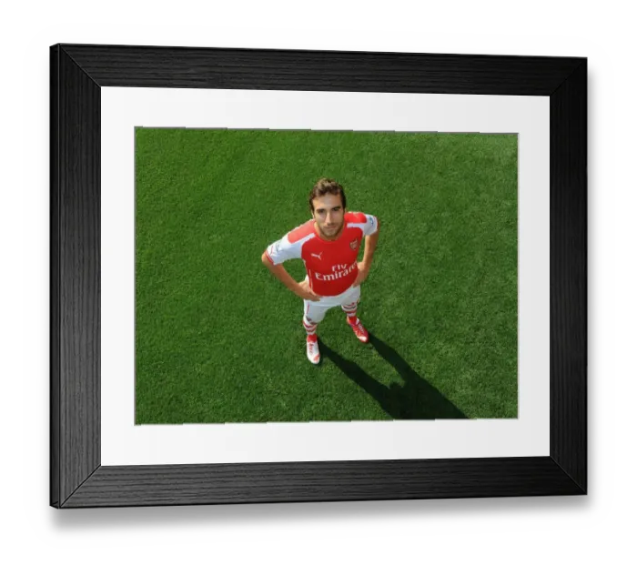 Framed Print : Arsenal Football Club: Mathieu Flamini at 2014-15 First Team Photocall, Emirates Stadium Framed Print : Arsenal Football Club: Mathieu Flamini at 2014-15 First Team Photocall, Emirates Stadium