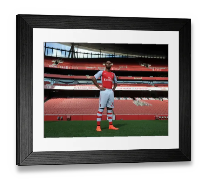 Framed Print : Serge Gnabry (Arsenal). Arsenal 1st Team Photocall. Emirates Stadium, 7 / 8 / 14. Credit Framed Print : Serge Gnabry (Arsenal). Arsenal 1st Team Photocall. Emirates Stadium, 7 / 8 / 14. Credit