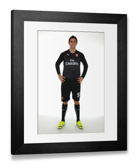 Framed Print : Arsenal's Damian Martinez at Emirates Stadium (2014 / 15) Framed Print : Arsenal's Damian Martinez at Emirates Stadium (2014 / 15)
