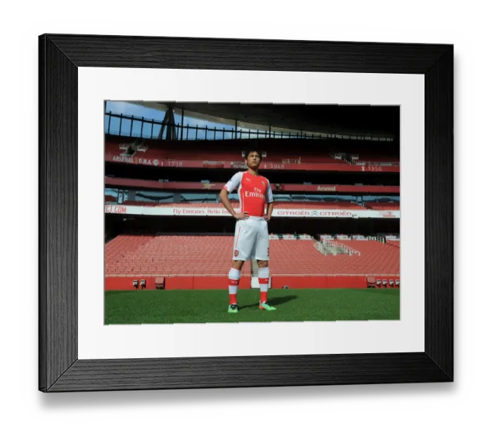 Framed Print : Ryo Miyaichi (Arsenal). Arsenal 1st Team Photocall. Emirates Stadium, 7 / 8 / 14. Credit Framed Print : Ryo Miyaichi (Arsenal). Arsenal 1st Team Photocall. Emirates Stadium, 7 / 8 / 14. Credit