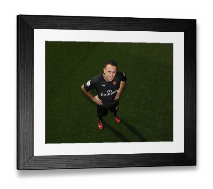 Framed Print : Arsenal Football Club: 2014-15 First Team Photocall Featuring David Ospina at Emirates Stadium