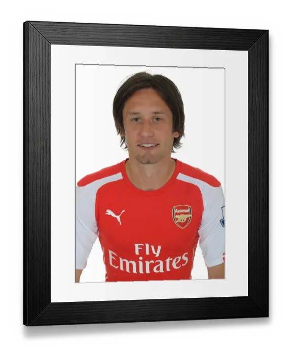 Framed Print : Arsenal's Rosicky at Emirates Stadium (2014-15) Framed Print : Arsenal's Rosicky at Emirates Stadium (2014-15)