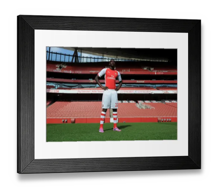 Framed Print : Yaya Sanogo (Arsenal). Arsenal 1st Team Photocall. Emirates Stadium, 7  /  8  /  14. Credit