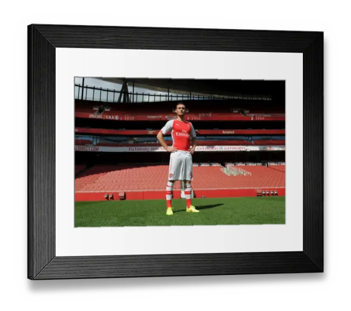 Framed Print : Thomas Vermaelen (Arsenal). Arsenal 1st Team Photocall. Emirates Stadium, 7  /  8  /  14