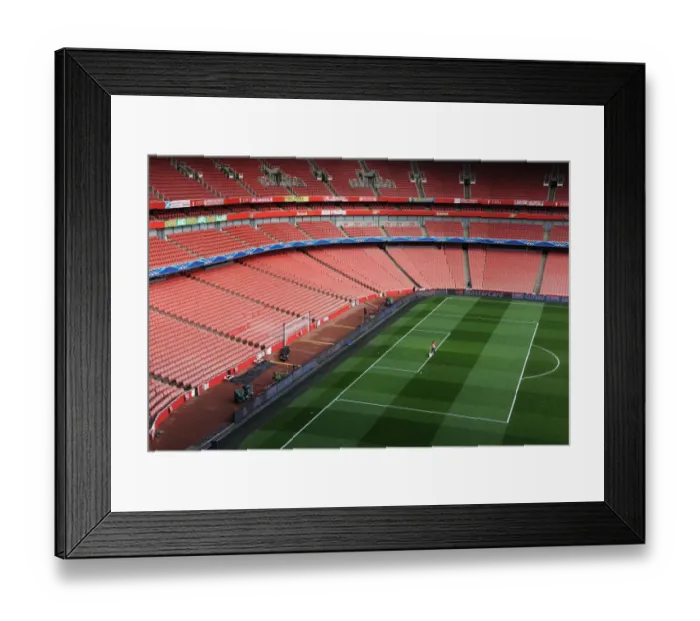 Framed Print : Emirates Stadium: Arsenal's Prepared Pitch for Monaco Clash (2015)