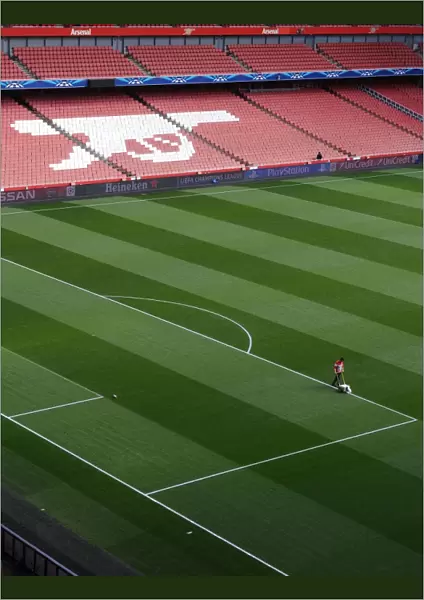 Arsenal's Prepared Emirates Stadium Pitch for Monaco Clash (2015)