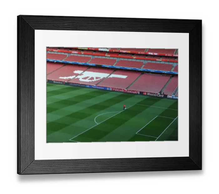 Framed Print : Emirates Stadium: Arsenal's Prepared Pitch for Monaco Clash (2015)