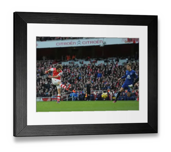 Framed Print : Tomas Rosicky Scores Arsenal's Second Goal Against Everton in the Premier League (2015) Framed Print : Tomas Rosicky Scores Arsenal's Second Goal Against Everton in the Premier League (2015)