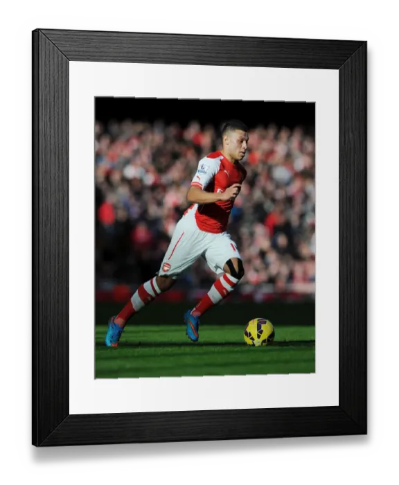 Framed Print : Arsenal's Oxlade-Chamberlain in Action: Arsenal vs. Everton, Premier League 2014-15 Framed Print : Arsenal's Oxlade-Chamberlain in Action: Arsenal vs. Everton, Premier League 2014-15