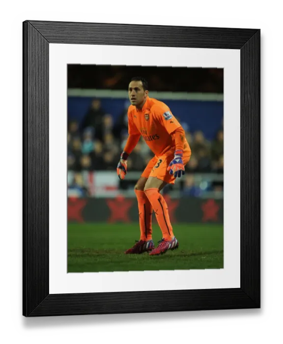 Framed Print : David Ospina Focused: Queens Park Rangers vs Arsenal, Premier League 2015