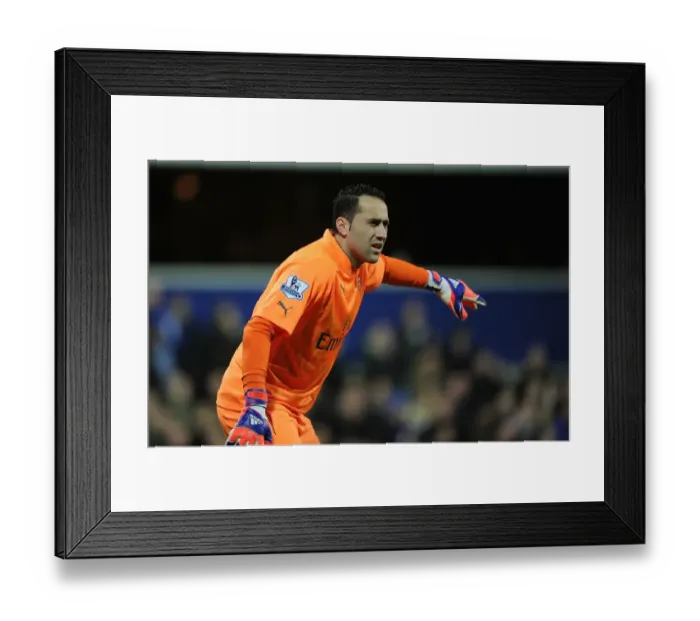 Framed Print : Arsenal's David Ospina in Action Against Queens Park Rangers, Premier League 2014-15 Framed Print : Arsenal's David Ospina in Action Against Queens Park Rangers, Premier League 2014-15