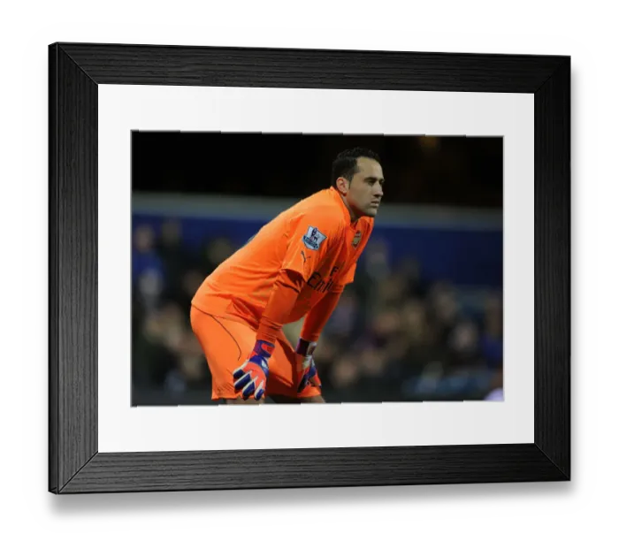 Framed Print : Arsenal's David Ospina in Action against Queens Park Rangers (2015)